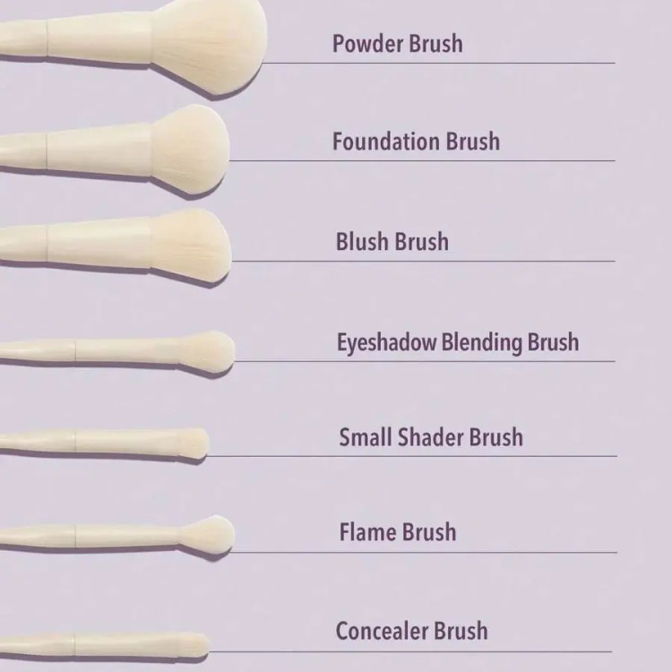 ست براش 8 عددی چشم شیگلم Sheglam Glam Fam Brush Set 8 Pic
